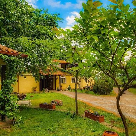 Villa Anthemia Naousa  Eksteriør bilde